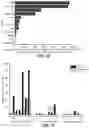 Fig. 08 - PLASMID COMBINATION AND APPLICATION THEREOF IN PREPARING MODIFIED IMMUNE CELLS