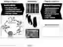 Fig. 02 - BIOFABRICATION AND MICROBIAL CELLULOSE BIOTEXTILE