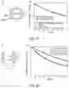 Fig. 49 - Biomass conversion reactors and associated systems and methods