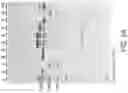 Fig. 06 - NANOSWITCH CALIPER TRAINS FOR HIGH-THROUGHPUT, HIGH-RESOLUTION STRUCTURAL ANALYSIS OF BIOMOLECULES