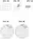 Fig. 02 - Motion information prediction method and apparatus for distortion due to projection formation conversion