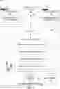 Fig. 02 - Automated image processing and insight presentation
