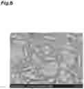 Fig. 07 - BORON NITRIDE SINTERED BODY, METHOD FOR MANUFACTURING SAME, LAMINATE, AND METHOD FOR MANUFACTURING SAME
