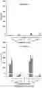 Fig. 07 - METHOD FOR TREATMENT AND PROPHYLAXIS OF CRS IN PATIENTS COMPRISING A COMBINATION OF BISPECIFIC ANTIBODIES BINDING TO CDS X CANCER CELL AND TNF ALPHA OR IL-6 INHIBITOR