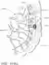 Fig. 197 - METHOD OF HUB COMMUNICATION WITH SURGICAL INSTRUMENT SYSTEMS