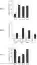 Fig. 08 - PLATELET PRODUCTION METHOD AND DEVICE