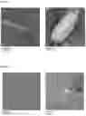 Fig. 02 - PARTICLE SIZE CONTROL