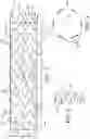 Fig. 02 - DELIVERY SYSTEM AND METHOD FOR SELF-CENTERING A PROXIMAL END OF A STENT GRAFT