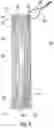 Fig. 06 - BBQ grill scraper