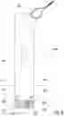 Fig. 09 - BBQ grill scraper