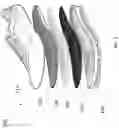 Fig. 02 - THERMAL-RESISTANT SHOE COMPONENTS