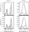 Fig. 10 - Multi-wall carbon nanotubes catalyst synthesis and use thereof
