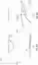 Fig. 45 - Epitaxial oxide materials, structures, and devices