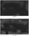Fig. 08 - RADAR-LIDAR EXTRINSIC CALIBRATION IN UNSTRUCTURED ENVIRONMENTS