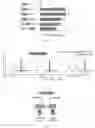 Fig. 09 - GENOME ENGINEERING USING CRISPR RNA-GUIDED INTEGRASES