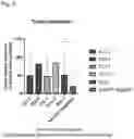 Fig. 08 - Neoepitope immunotherapy with APC targeting unit