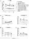 Fig. 08 - CHIMERIC ANTIGEN RECEPTOR SPECIFIC FOR HUMAN CD45RC AND USES THEREOF