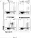 Fig. 09 - CHIMERIC ANTIGEN RECEPTOR SPECIFIC FOR HUMAN CD45RC AND USES THEREOF