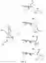Fig. 03 - INDIVIDUALIZED LIQUID FEEDING