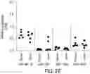 Fig. 04 - Purified Enriched Population Exosomes Derived From Individuals With A Chronic Progressive Lung Disease For Noninvasive Detection, Staging, And Medical Monitoring Of Disease Progression