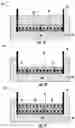 Fig. 02 - METHODS TO ENRICH ENTEROENDOCRINE CELLS AND THEIR SUBTYPES IN THE CONTIGUOUS, INTESTINAL MONOLAYER SYSTEMS