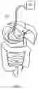 Fig. 12 - INTERNAL ULTRAVIOLET THERAPY