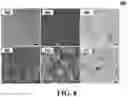 Fig. 09 - METHOD FOR PRODCING CARDIOMYOCYTES FROM INDUCED PLURIPOTENT STEM CELLS IN AN INTEGRATED PROCESS