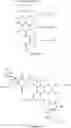 Fig. 02 - TYROSINASE ANTISENSE OLIGONUCLEOTIDES