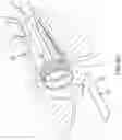 Fig. 08 - VAGINAL SPECULUM AND CERVICAL SCREENING KIT