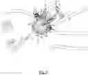 Fig. 10 - SYSTEMS AND METHOD OR USES OF ABLATING CARDIAC TISSUE