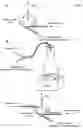 Fig. 03 - METHOD OF MANUFACTURING PEPTIDE NANOPARTICLES