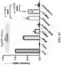Fig. 09 - METHODS AND COMPOSITIONS FOR TREATING CANCER