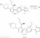 Fig. 331 - METHODS AND COMPOUNDS FOR THE TREATMENT OF GENETIC DISEASE