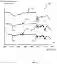 Fig. 08 - WOUND DRESSING ARTICLES MADE OF ARRAYS OF MICROSCOPIC NEEDLES OBTAINED FROM EXOSKELETONS OF CRUSTACEANS AND METHOD OF MANUFACTURING THE SAME