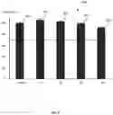Fig. 09 - WOUND DRESSING ARTICLES MADE OF ARRAYS OF MICROSCOPIC NEEDLES OBTAINED FROM EXOSKELETONS OF CRUSTACEANS AND METHOD OF MANUFACTURING THE SAME