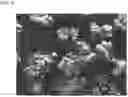 Fig. 02 - MULTI-USE HEMOSTATIC COMPOSITION AND METHOD FOR PRODUCING SAME
