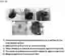 Fig. 06 - MULTI-USE HEMOSTATIC COMPOSITION AND METHOD FOR PRODUCING SAME