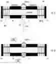 Fig. 08 - Electrodes for Nitric Oxide Generation