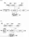 Fig. 07 - Method for controlling sound inside vehicle and vehicle AVN system