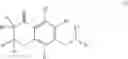Fig. 511 - INHIBITORS OF ANTIGEN PRESENTATION BY HLA-DR