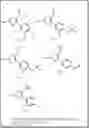 Fig. 233 - EIF4E inhibitors and uses thereof
