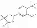 Fig. 491 - EIF4E inhibitors and uses thereof