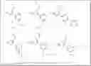 Fig. 565 - EIF4E inhibitors and uses thereof