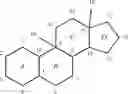 Fig. 03 - Methods for assembly of tetracyclic compounds by stereoselective C9-C10 bond formation