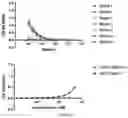 Fig. 08 - Cyclic Peptides