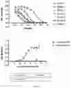 Fig. 10 - Cyclic Peptides