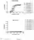 Fig. 24 - Cyclic Peptides