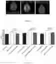 Fig. 26 - Cyclic Peptides
