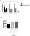 Fig. 29 - Cyclic Peptides