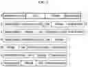Fig. 20 - DIRECT REPLACEMENT GENOME EDITING